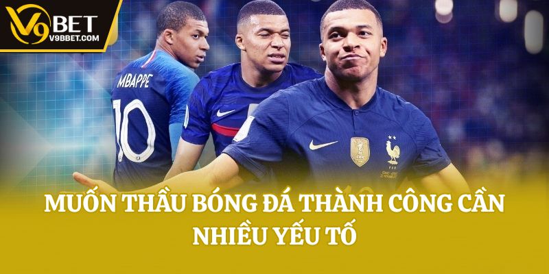 Muốn thầu bóng đá thành công cần nhiều yếu tố