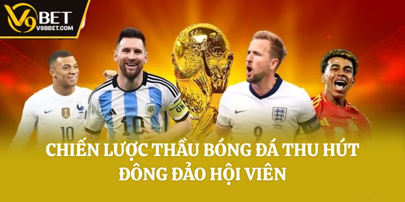 Chiến lược thầu bóng đá thu hút đông đảo hội viên