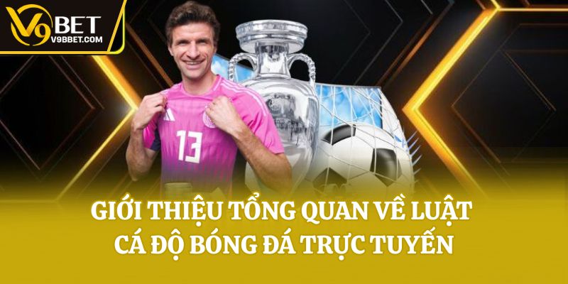 Giới thiệu tổng quan về luật cá độ bóng đá trực tuyến