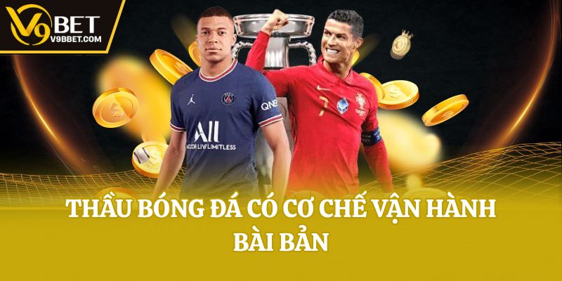 Thầu bóng đá có cơ chế vận hành bài bản